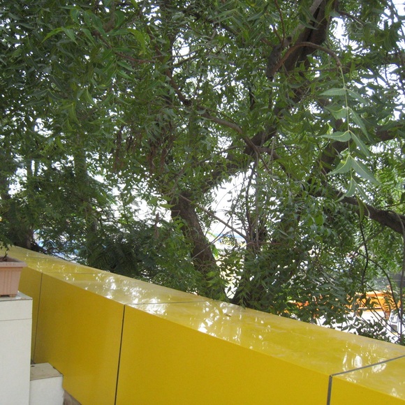 Canon IXY DIGITAL camera - Picture 13 of 14